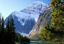 国足冲击2026世界杯，这次能走多远？